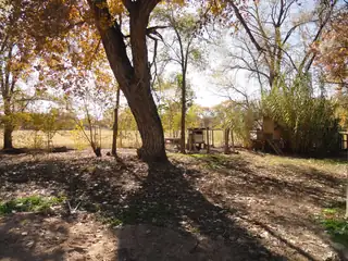 32 Forgotten Promise Lane Backyard