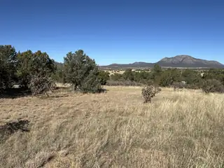 Lot 254 Bolivar Loop 