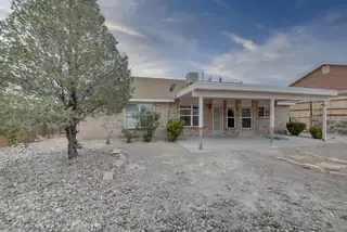 12 Juniper Place Backyard