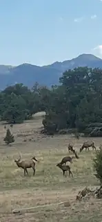 17 Jackass Lane View