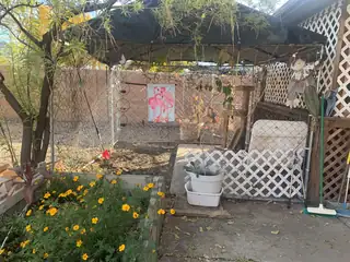 536 Coronado Drive Backyard