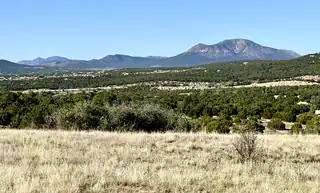 9 Mustang Mesa Trail 