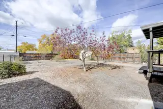 1005 Princeton Drive NE Backyard