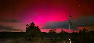 60 Celso Springs lane View