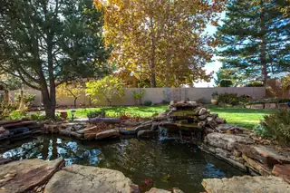 6123 Casa De Vida NE Backyard