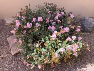 9820 Benton Street NW Exterior Front