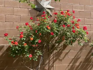 9820 Benton Street NW Exterior Other