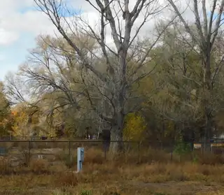 803 Ayrshire Court SW 