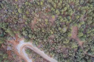 21 Estrella Vista Drive 