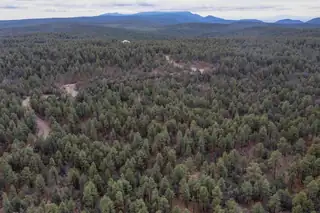 21 Estrella Vista Drive 