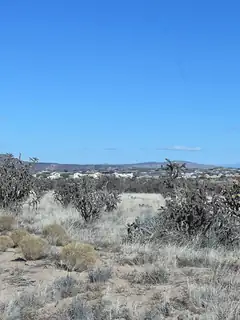 4600 Majesty Road NE 