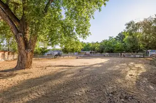 9707 Rio Grande Boulevard NW Backyard