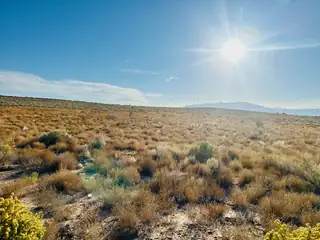 2310 Box Lake Drive NE 