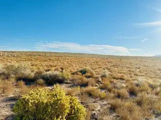 2310 Box Lake Drive NE 