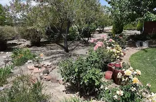 800 Jim Street Bedroom