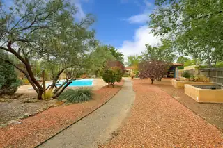 2908 10th Street NW Backyard