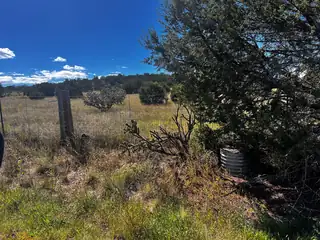 2068 OLD HY 66 (NM333) 