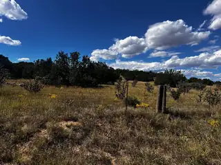 2068 OLD HY 66 (NM333) 