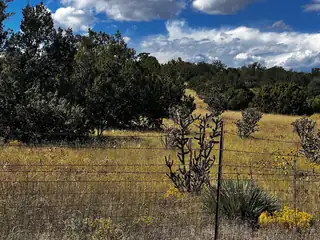 2068 OLD HY 66 (NM333) 