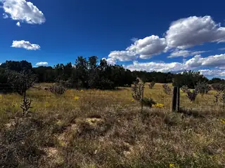 2068 OLD HY 66 (NM333) 