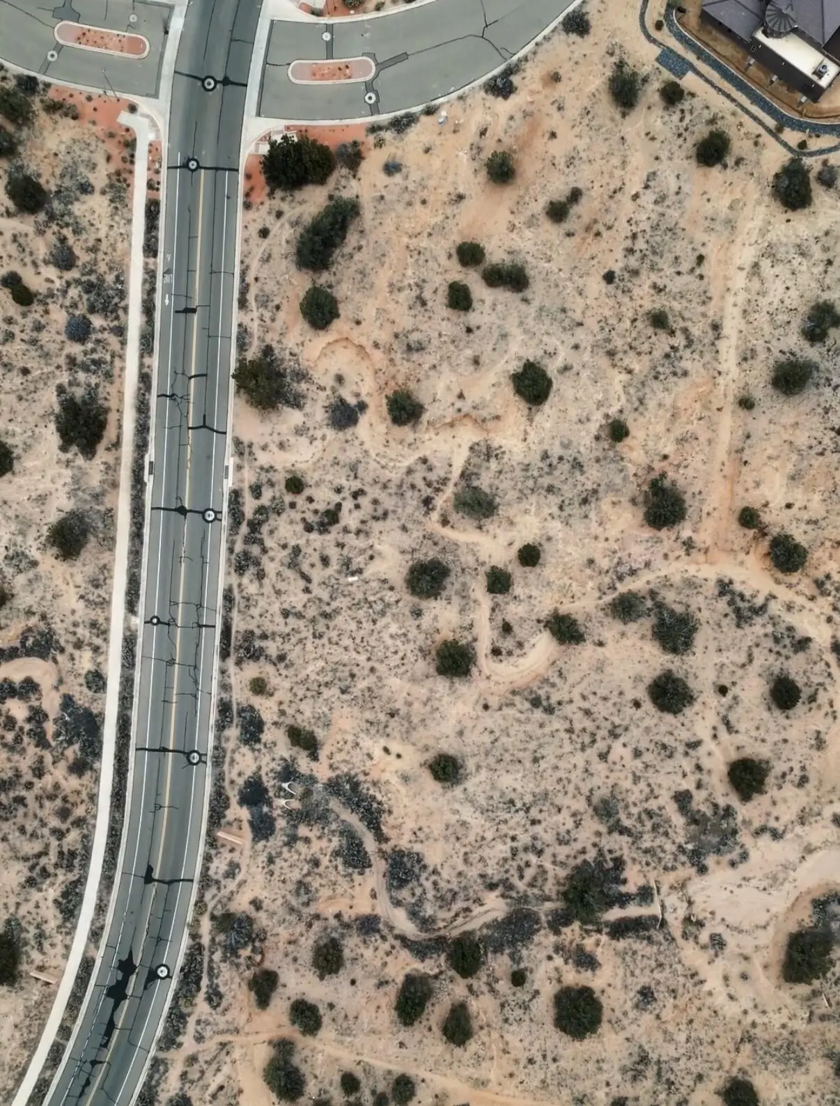 2403 Desert Zinnia Road