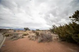 2403 Desert Zinnia Road 