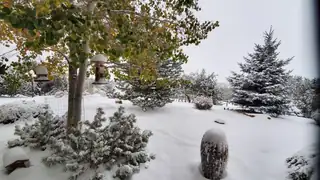 8 Camino Coyote Exterior Other