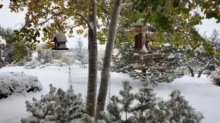 8 Camino Coyote Interior Other