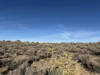 Lots 6&7 Bruening Avenue NE 