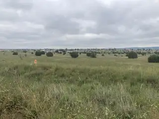 33 Rory Road Exterior Other