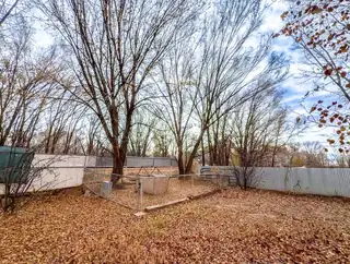 4 Bueno Suerte Backyard