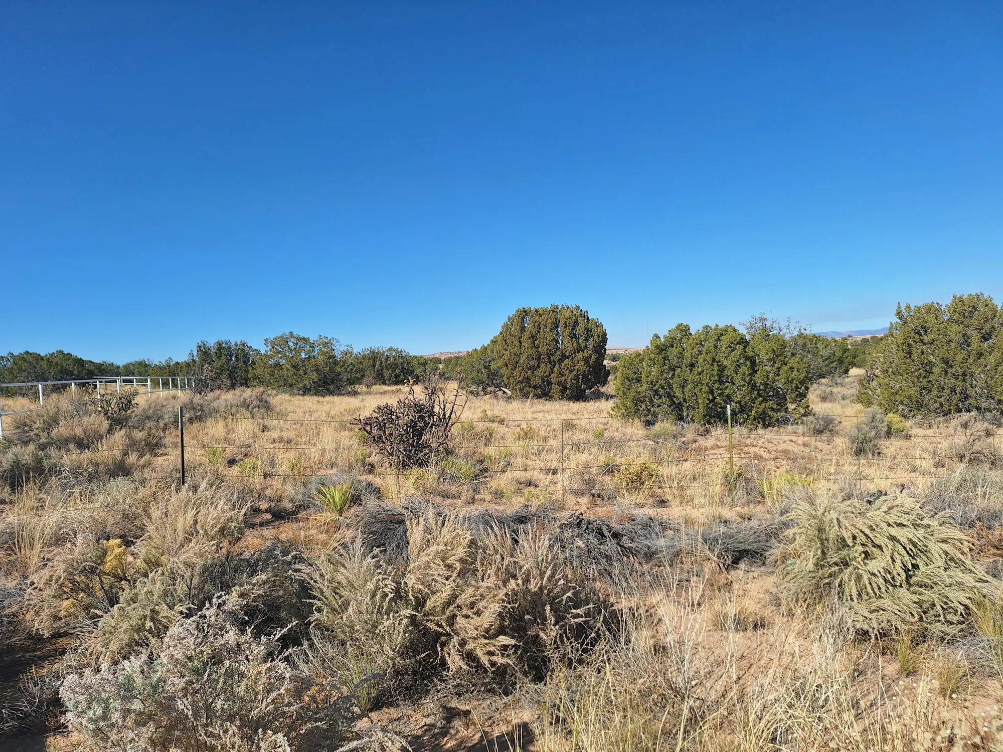 6113 Unser Boulevard NE