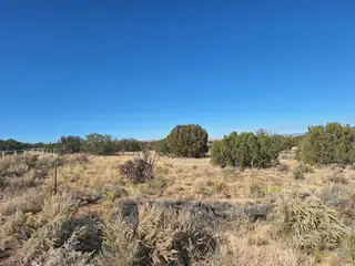 6113 Unser Boulevard NE 