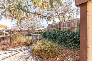 7304 Prenda De Plata NW Backyard