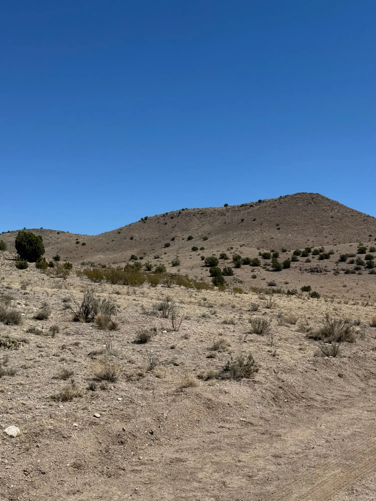 Lot 18 Willow Springs Ranch