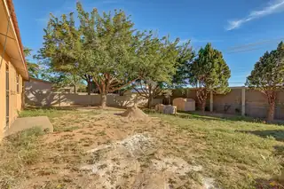 12608 Cloudview Avenue NE Backyard