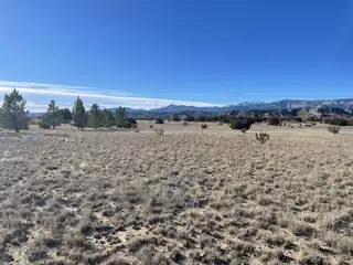 Private Drive 1613B Lot 17 