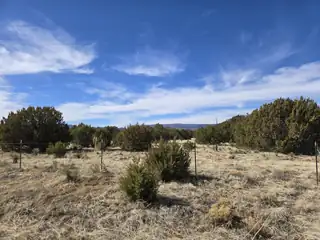 0 Rosewood Drive 12, Tajique 