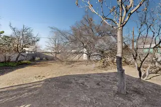 929 Palomas Drive SE Backyard