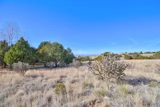 13705 Quaking Aspen Place NE 