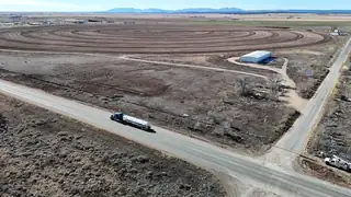 Pumpkin Patch Road, Moriarty 