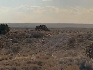 1131 Tascal Court NE 