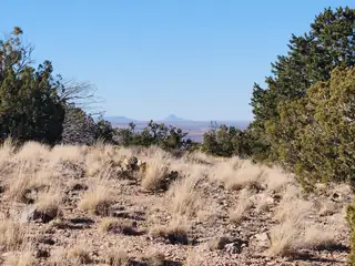 14 QUAIL MEADOW ROAD 