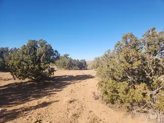 14 QUAIL MEADOW ROAD 