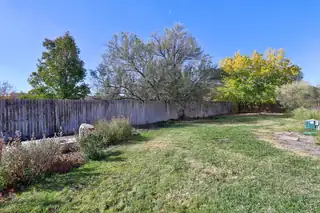 120 Espinosa Road Backyard