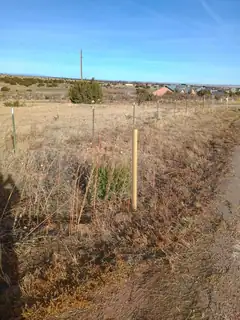 103 W Hill Ranch Road 