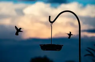 2409 Desert View Road NE View