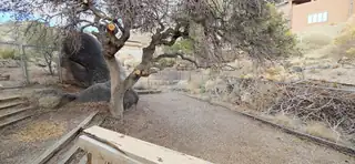 34 Sandia Heights Drive NE Backyard