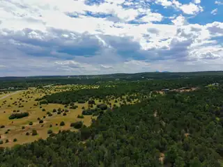 10601 Nm 337, Tijeras 