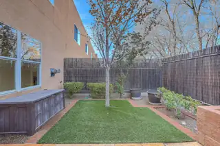 11251 Campo Del Oso Avenue NE Backyard